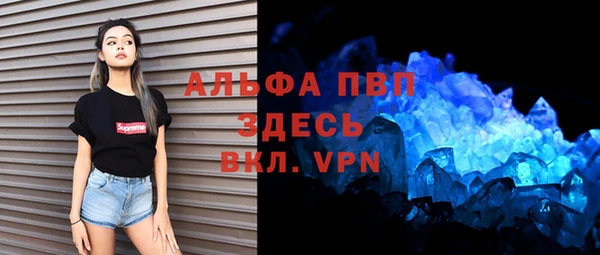 сатива Кинешма
