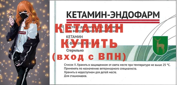 сатива Кинешма