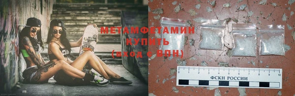 сатива Кинешма