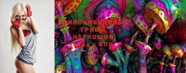 сатива Кинешма